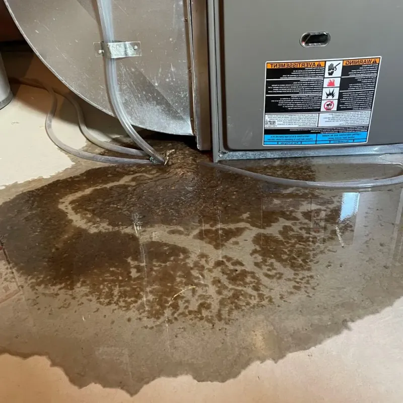 Pipe Burst and Leak Restoration in Spartanburg, SC