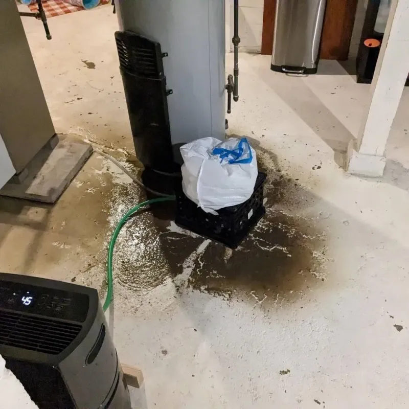 Sewage Backup Cleanup Service in Spartanburg, SC